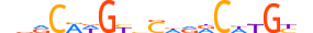 P63.H13CORE.0.PS.A motif logo (TP63 gene, P63_HUMAN protein)