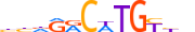 P63.H13CORE.1.PS.A motif logo (TP63 gene, P63_HUMAN protein)