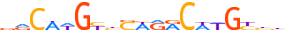 P73.H13CORE.0.PS.A motif logo (TP73 gene, P73_HUMAN protein)