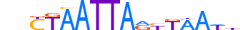 PAX4.H13CORE.1.S.C motif logo (PAX4 gene, PAX4_HUMAN protein)