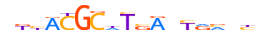 PAX6.H13CORE.0.PSM.A motif logo (PAX6 gene, PAX6_HUMAN protein)