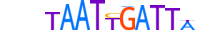 PAX7.H13CORE.2.PM.A motif logo (PAX7 gene, PAX7_HUMAN protein)