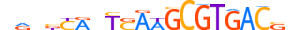 PAX8.H13CORE.0.PSM.A motif logo (PAX8 gene, PAX8_HUMAN protein)