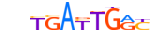 PBX1.H13CORE.1.P.B motif logo (PBX1 gene, PBX1_HUMAN protein)