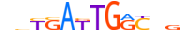 PBX3.H13CORE.0.P.B motif logo (PBX3 gene, PBX3_HUMAN protein)