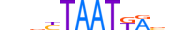 PDX1.H13CORE.1.PSM.A motif logo (PDX1 gene, PDX1_HUMAN protein)