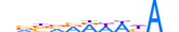 PHF21A.H13CORE.0.B.B motif logo (PHF21A gene, PF21A_HUMAN protein)