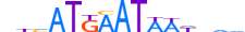 PIT1.H13CORE.1.S.B motif logo (POU1F1 gene, PIT1_HUMAN protein)