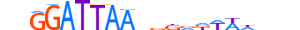 PITX1.H13CORE.1.S.B motif logo (PITX1 gene, PITX1_HUMAN protein)