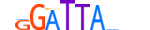 PITX2.H13CORE.0.SM.B motif logo (PITX2 gene, PITX2_HUMAN protein)