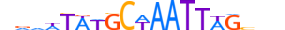 PO2F3.H13CORE.1.S.C motif logo (POU2F3 gene, PO2F3_HUMAN protein)