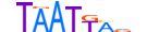 PO3F1.H13CORE.2.S.C motif logo (POU3F1 gene, PO3F1_HUMAN protein)