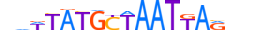 PO3F1.H13CORE.3.M.C motif logo (POU3F1 gene, PO3F1_HUMAN protein)