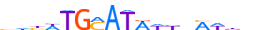 PO3F3.H13CORE.1.P.C motif logo (POU3F3 gene, PO3F3_HUMAN protein)