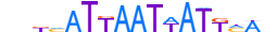 PO4F2.H13CORE.0.S.B motif logo (POU4F2 gene, PO4F2_HUMAN protein)