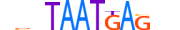 PO6F1.H13CORE.0.SM.B motif logo (POU6F1 gene, PO6F1_HUMAN protein)