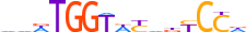 PRDM10.H13CORE.0.PSGI.A motif logo (PRDM10 gene, PRD10_HUMAN protein)