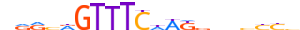 PRDM4.H13CORE.0.PSM.A motif logo (PRDM4 gene, PRDM4_HUMAN protein)