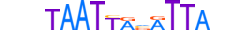 PROP1.H13CORE.0.PSM.A motif logo (PROP1 gene, PROP1_HUMAN protein)