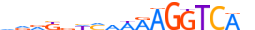 RARG.H13CORE.3.S.B motif logo (RARG gene, RARG_HUMAN protein)