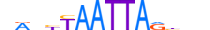 RAX2.H13CORE.0.S.B motif logo (RAX2 gene, RAX2_HUMAN protein)