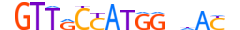 RFX2.H13CORE.1.PSM.A motif logo (RFX2 gene, RFX2_HUMAN protein)