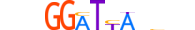 RHXF1.H13CORE.0.SM.B motif logo (RHOXF1 gene, RHXF1_HUMAN protein)