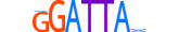 RHXF2.H13CORE.0.SM.B motif logo (RHOXF2 gene, RHXF2_HUMAN protein)