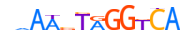 RORG.H13CORE.1.PS.A motif logo (RORC gene, RORG_HUMAN protein)