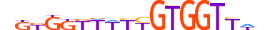 RUNX2.H13CORE.2.M.C motif logo (RUNX2 gene, RUNX2_HUMAN protein)