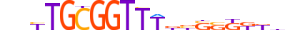 RUNX3.H13CORE.1.S.B motif logo (RUNX3 gene, RUNX3_HUMAN protein)