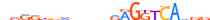 RXRA.H13CORE.3.P.B motif logo (RXRA gene, RXRA_HUMAN protein)