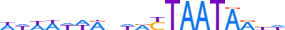 SATB1.H13CORE.0.P.B motif logo (SATB1 gene, SATB1_HUMAN protein)