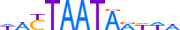 SATB1.H13CORE.1.P.B motif logo (SATB1 gene, SATB1_HUMAN protein)