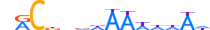 SETBP1.H13CORE.0.B.B motif logo (SETBP1 gene, SETBP_HUMAN protein)