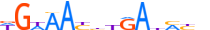 SIX2.H13CORE.0.P.B motif logo (SIX2 gene, SIX2_HUMAN protein)