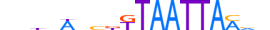 SKOR1.H13CORE.0.M.C motif logo (SKOR1 gene, SKOR1_HUMAN protein)