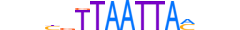 SKOR1.H13CORE.1.S.C motif logo (SKOR1 gene, SKOR1_HUMAN protein)