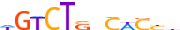 SMAD2.H13CORE.0.P.B motif logo (SMAD2 gene, SMAD2_HUMAN protein)