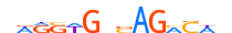 SMAD3.H13CORE.2.P.C motif logo (SMAD3 gene, SMAD3_HUMAN protein)