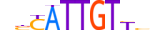 SOX10.H13CORE.1.PSM.A motif logo (SOX10 gene, SOX10_HUMAN protein)