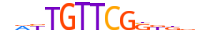 SOX10.H13CORE.2.S.C motif logo (SOX10 gene, SOX10_HUMAN protein)