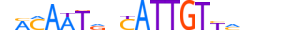 SOX14.H13CORE.0.SM.B motif logo (SOX14 gene, SOX14_HUMAN protein)