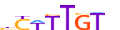 SOX15.H13CORE.0.P.B motif logo (SOX15 gene, SOX15_HUMAN protein)