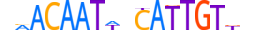 SOX17.H13CORE.2.S.C motif logo (SOX17 gene, SOX17_HUMAN protein)