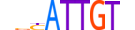 SOX18.H13CORE.0.SM.B motif logo (SOX18 gene, SOX18_HUMAN protein)