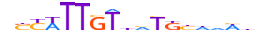 SOX2.H13CORE.1.P.B motif logo (SOX2 gene, SOX2_HUMAN protein)