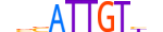 SOX30.H13CORE.1.SM.B motif logo (SOX30 gene, SOX30_HUMAN protein)