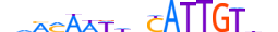 SOX7.H13CORE.1.SM.B motif logo (SOX7 gene, SOX7_HUMAN protein)