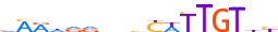 SOX8.H13CORE.0.PSM.A motif logo (SOX8 gene, SOX8_HUMAN protein)